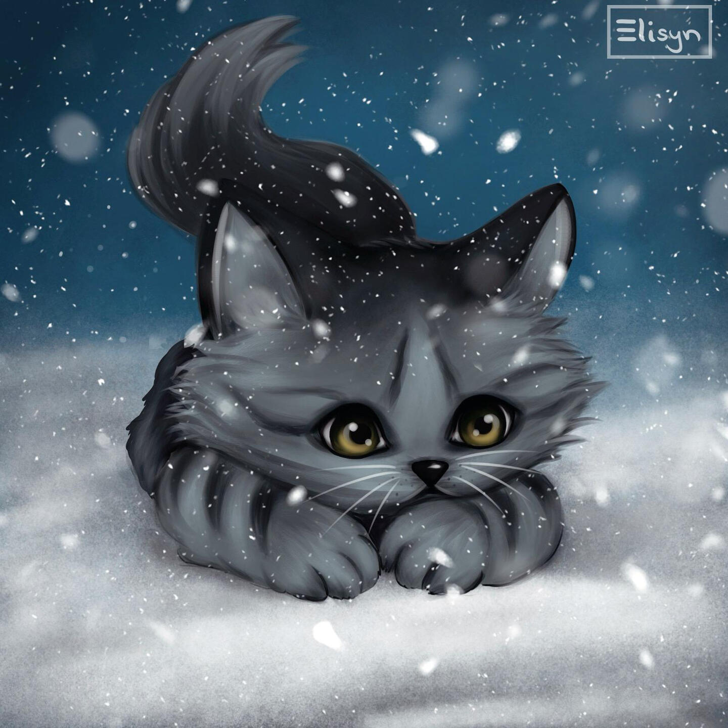 Kitten in snow